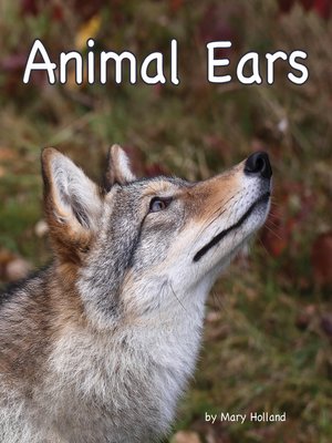 cover image of Animal Ears
